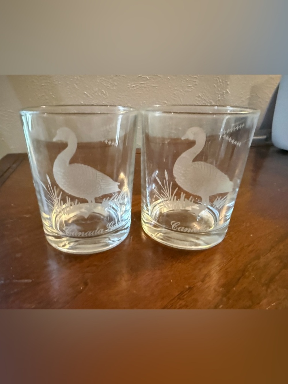 Vintage Etched Canadian Geese Glass Tumblers - Clear Set of 2